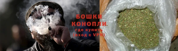 гашик Дмитровск
