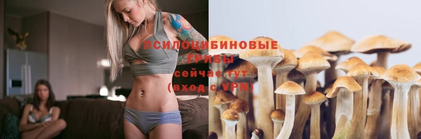 мдпв Дмитриев