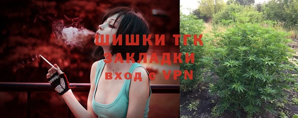 гашик Дмитровск