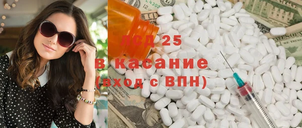 гашик Дмитровск