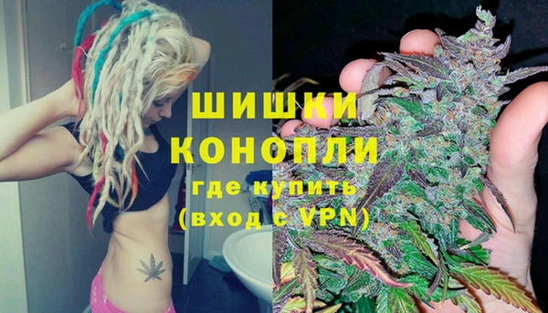 мдпв Дмитриев