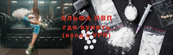 гашик Дмитровск